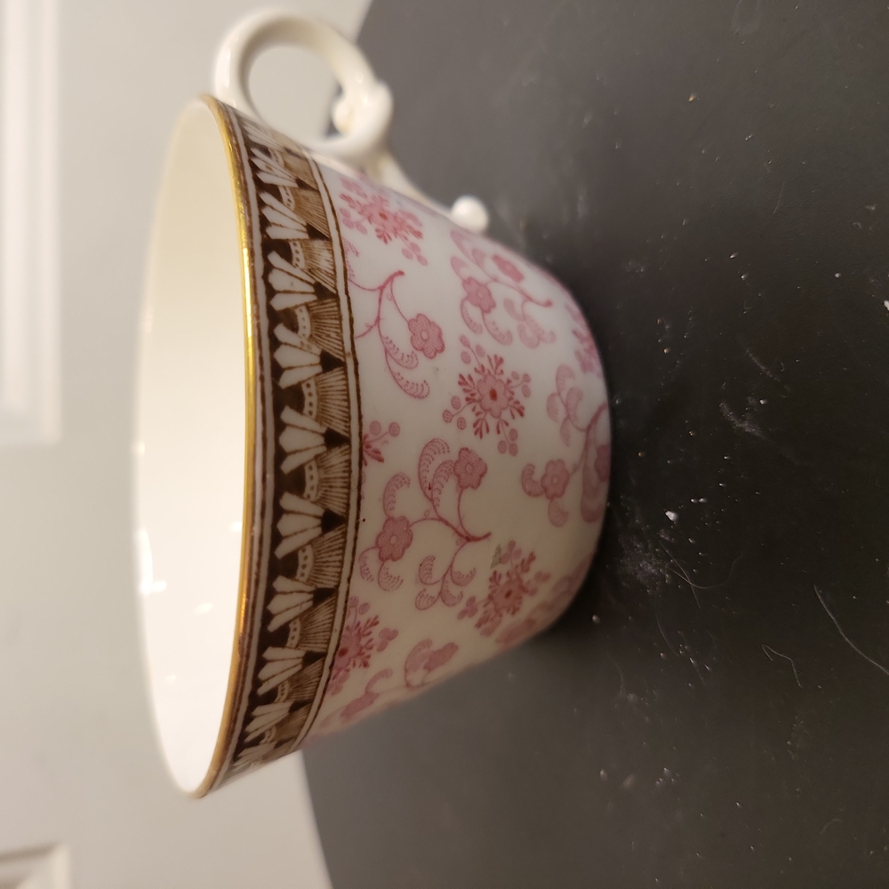 Antique Brownfield & Sons 3856 Teacup Transferware RARE c 1885